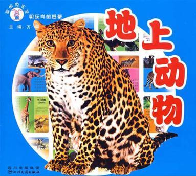 聰明兔寶寶地上動物