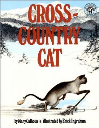 Cross-Country Cat