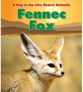 Fennec Fox (Day in the Life: Desert Animals)