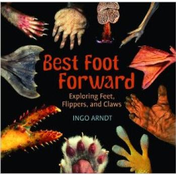 Best Foot Forward: Exploring Feet, Flippers, and Claws