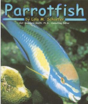 Parrotfish (Ocean Life)