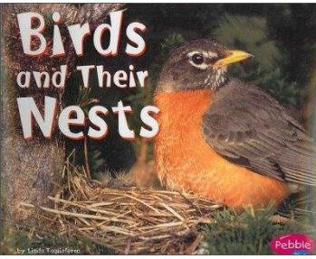 Birds and Their Nests (Animla Homes)