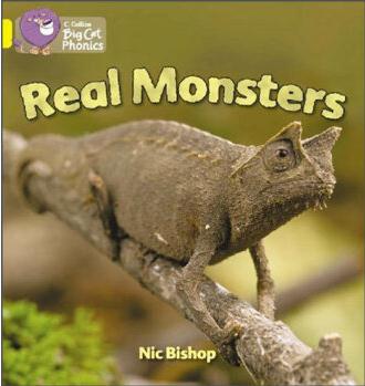 Real Monsters(Collins Big Cat Phonics)