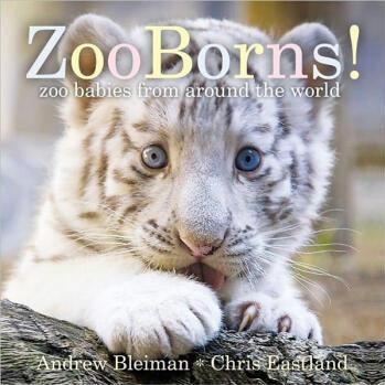 ZooBorns!: Zoo Babies from Around the World [Board Book]