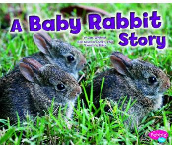 A Baby Rabbit Story (Pebble Plus: Baby Animals)