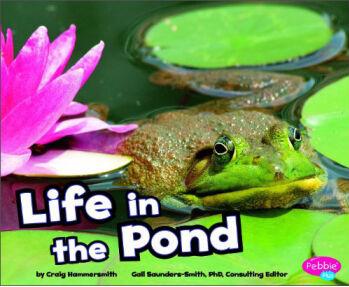 Life in a Pond (Pebble Plus: Habitats Around the World)