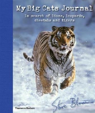 My Big Cats Journal