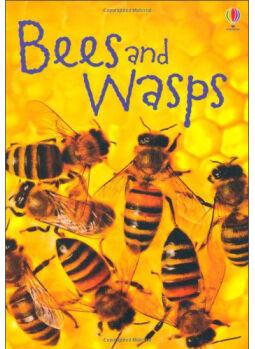 Bees & Wasps