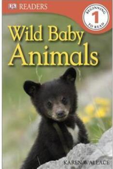 Wild Baby Animals