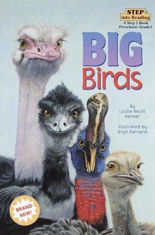 BIG BIRDS