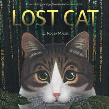 Lost Cat