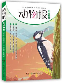 動物報:天空特刊