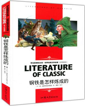 鋼鐵是怎樣煉成的 學生新課標必讀·世界經(jīng)典文學名著 名師精讀版