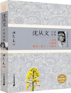 沈從文小說經(jīng)典