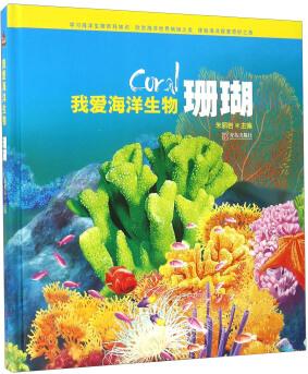 我愛(ài)海洋生物 珊瑚