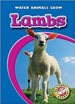 Lambs (Blastoff! Readers: Watch Animals Grow)