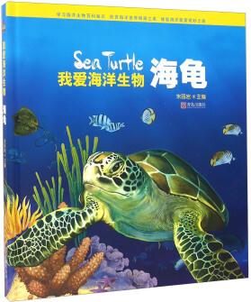 我愛海洋生物 海龜