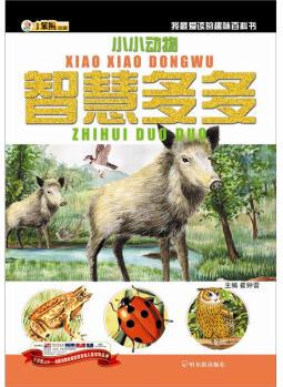 小笨熊動漫·我最愛讀的趣味百科書: 小小動物, 智慧多多 [3-6歲]