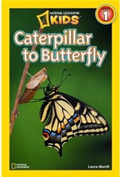 National Geographic Readers: Caterpillar to Butterfly  [4歲及以上]