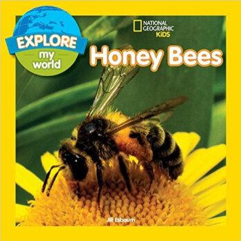 Explore My World: Honey Bees  [04--07]