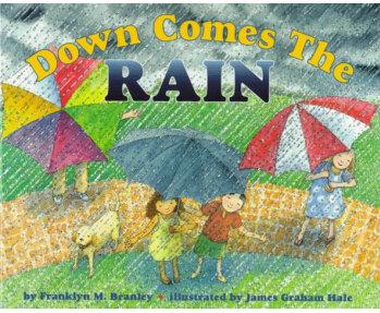 Down Comes the Rain [Library Binding]  [4-8sui]