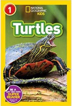 National Geographic Readers: Turtles  [04--06]