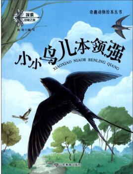 奇趣動物繪本叢書: 小小鳥兒本領(lǐng)強