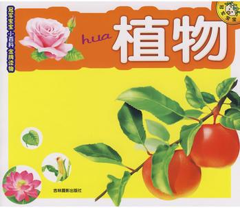 植物: 冠軍寶寶小百科金牌讀物
