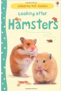 Looking After Hamsters