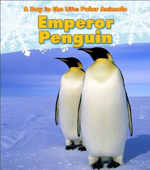 Emperor Penguin (A Day in the Life: Polar Animals)