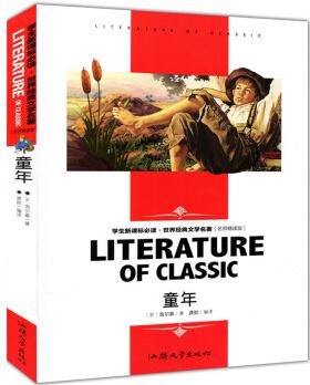 童年 學生新課標必讀·世界經(jīng)典文學名著 名師精讀版