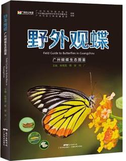 野外觀蝶——廣州蝴蝶生態(tài)圖鑒(記錄253種蝴蝶；用生態(tài)照片呈現(xiàn)蝴蝶的一生)