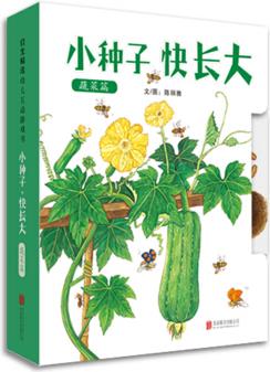 小種子快長(zhǎng)大·蔬菜篇