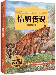 沈石溪?jiǎng)游镄≌f守望生命書系 情豹傳說 [7-14歲]