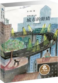 王一梅童書·經(jīng)典長(zhǎng)篇小說--城市的眼睛