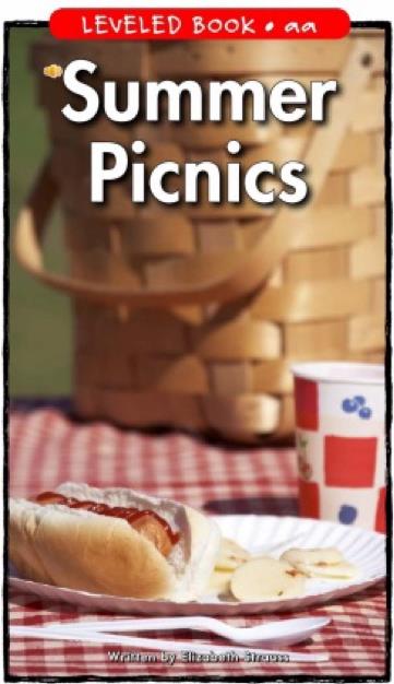 Summer Picnics