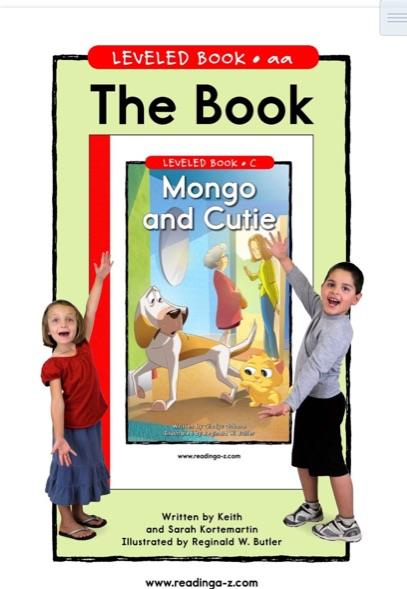 008-The  book