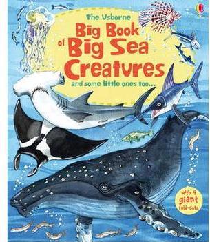 Big Book of Sea Creatures and Some Little Ones Too