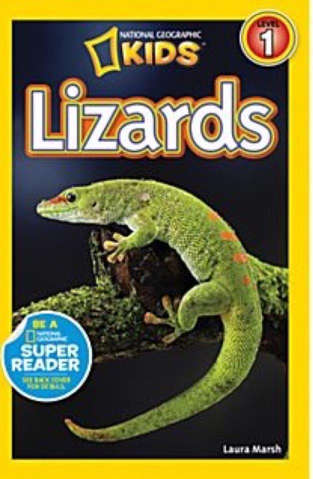 Lizards NG-2