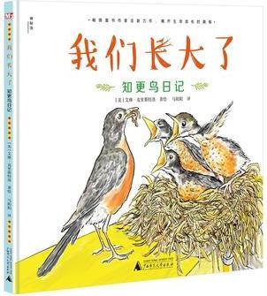 我們長(zhǎng)大了: 知更鳥(niǎo)日記