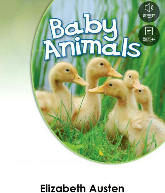 baby animals