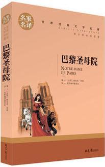 巴黎圣母院  小說名家名譯世界經(jīng)典文學名著 原汁原味讀名著兒童青少年版 9-10-12-15歲初中小學生課外必讀物四五六七八年級