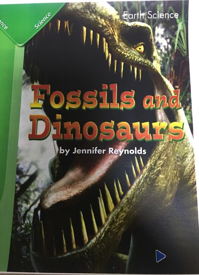 Fossils and Dinosaurs