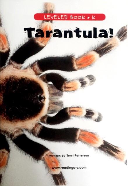 RAZ level K: Tarantula!