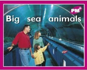 Big Sea Animals PM Plus Magenta 2