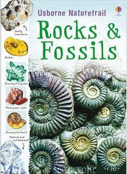 Rocks and Fossils