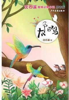 沈石溪激情動物小說: 太陽鳥