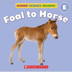 Guided Science Readers E: Foal to Horse