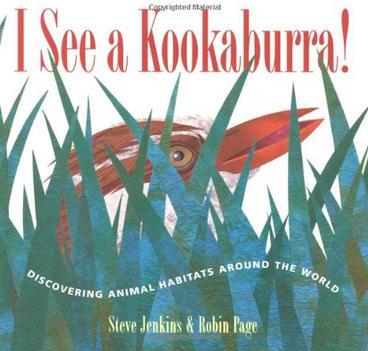 I See a Kookaburra!