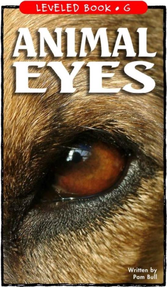 Animal Eyes